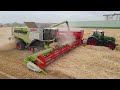 top dÉpart moisson 2023 2x claas lexion 8700 tt sur ce gros chantier de moisson