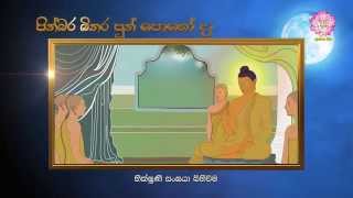 පින්බර බිනර පොහෝ දිනය | Shraddha TV