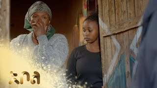 የማኪ ሚስጥር ተጋልጧል – አደይ | ምዕራፍ 3 | ክፍል 30 - 34 | አቦል ቲቪ