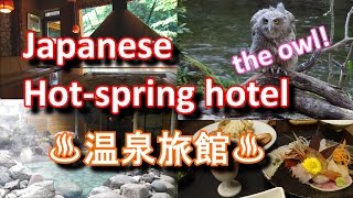 Hot-spring hotel to meet the owl ! #PresentingJapan