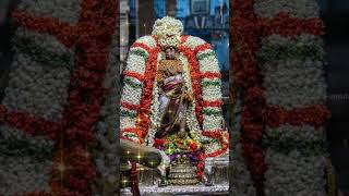 காஞ்சிபுரம் 🍃🌺அத்திகிரி அருளாளன்🍃🌺 ஸ்ரீபெருந்தேவி தாயார் சமேத ஸ்ரீவரதராஜ பெருமாள் 🍃🌺கோடை உற்சவம்🍃🌺