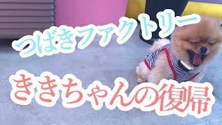 ききちゃんの復帰とトークイベント