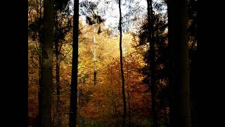 Norddeutsche Natur und Landschaftsinspiration von Oliver Böge