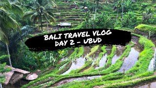 Bali Travel Vlog | Ubud Day 2 | Ubud Royal Palace | Ubud Art Market | Tegallalang Rice Terrace