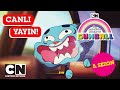 🔴canli 🔴 Gumball | 5. Sezon Tüm Bölümler | Cartoon Network Türkiye