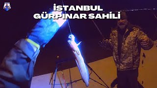 İSTANBUL BALIK AVI GÜRPINAR SAHİL | YEMLİ BALIK AVI | SÜLÜNEZ VE KOBRA KURDU #fishing #balıkavı