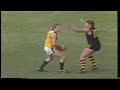 1987 Round 14 Glenelg 27.12 147 d Woodville 15.10 100 Channel 7