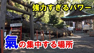 【パワースポット旅　賀茂神社/滋賀県】　氣が集まる場所、強力すぎるパワーに圧倒される