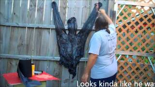 Human pelt