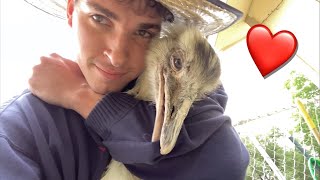 Kevin and I Make Up (emotional)