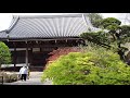 春ののんびり新緑散歩　杉並区今川の観泉寺　2020 4 8 18