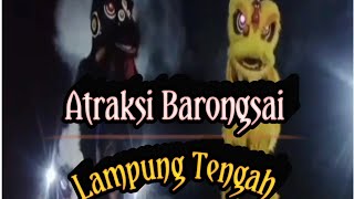 Atraksi Barongsai Anggota IKSPI KERA SAKTI Lampung Tengah