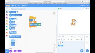 Variable assignment (in Scratch)