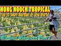 THAILAND VLOG part 4 | NONG NOOCH TROPICAL GARDEN- BEST GARDEN IN THE WORLD