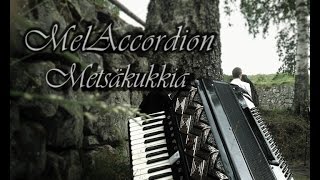 MelAccordion - Metsäkukkia