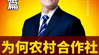 认知  农村未来，都会变成农村合作社？商业思维 怎么才能让农民致富 生意老板 财经