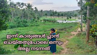 ആർഭാടങ്ങൾ ഒന്നുമില്ലാതെ അങ്ങനെ ഇന്നത്തെ ദിവസവും കടന്ന് പോയ് | Day in my life | Village lifestyle