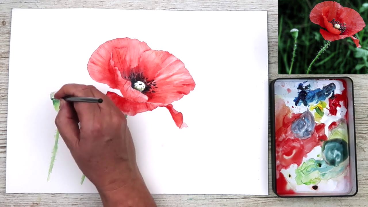 Watercolor Poppies Tutorial How To Paint Realistic Watercolor Poppies
