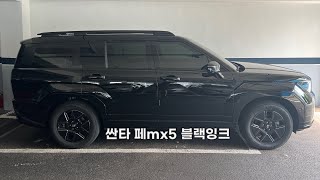 싼타페MX5하이브리드 구입하고..10일째