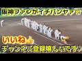 【24年11月】 黒土が綺麗に！ 阪神なんば線 車窓から見える工事中 阪神二軍球場 のイマ 阪神電車 車窓 阪神 尼崎 大物