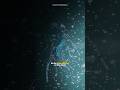 Did scientists just find Aliens?