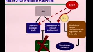 Is there a role for DHEA supplementation in women with diminished ovarian reserve? by  Kunjumoideen