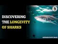 unlocking secrets of the greenland shark s 400 year lifespan wion podcast