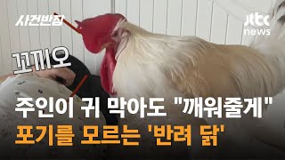 주인이 귀 막아도 \