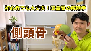 側頭骨について【初心者でも大丈夫！解剖学講座】