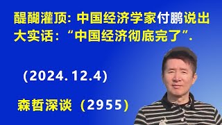 醍醐灌顶：中国经济学家付鹏 说出大实话：“中国经济彻底完了”.  (2024.12.4) 《森哲深谈》