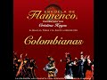 colombianas cante y guitarra