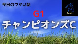 【チャンピオンズカップ】ダートG１レース　テーオーケインズ１強とは言わせない！？　panakiの注目馬はコイツだ！