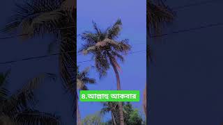 সব চেয়ে শ্রেষ্ঠ কালেমা আল্লাহর কাছে এই চারটা #islamicstatus #ইস্তেগফার #shorts