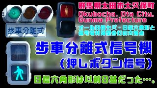 【信号機】群馬県太田市大久保町 オール日信セパ・日信六角形と信号電材薄型歩灯の交差点