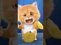 Du Di Du Di Dam Dam Song Baby| Cat dance |🌠 😁#forkids #subscribe #funny