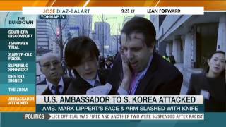 US Ambassador's Face Slashed In South Korea | msnbc