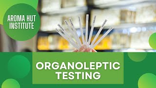 Now Smell This - Smelling an Essential Oil | Organoleptic Testing