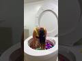 CRAZY SURPRISE FACE in Worlds Largest Toilet Surprise Egg Pool with HAIR FLIP #shorts