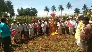 Maize Zercy Feedback By Karnataka Farmers