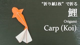 【折り紙1枚】簡単！立体で可愛い魚『鯉』の折り方 How to make a carp (koi) with origami.It's easy to make!【Fish】