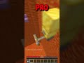 OHIO vs DREAM vs NOOB vs PRO vs GOD: Minecraft Parkour (World's Smallest Violin) #shorts #minecraft