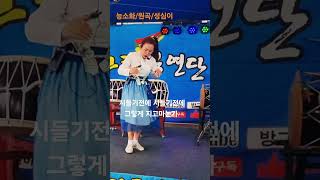 별이품바(망향정해수욕장)#능소화#원곡성심이