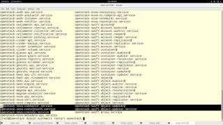 Changing Openstack Hypervisor Type (virt type)