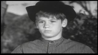 Wagon Train - S06E09   The Levy McGowan Story