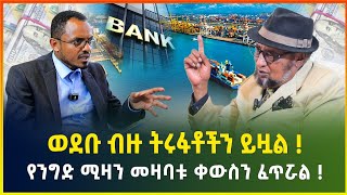 የውጭ ሀገር ባንኮች መግባታቸው ኢኮኖሚውን ያዝምናል !ውይይቱ መቀጠል አለበት፣ ኢትዮጵያም ወድብ ማግኘት አለባት !