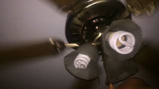 52 Polished Brass Hunter Brentwood Ceiling Fan
