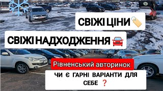 Авторинок Рівне! Свіжопригнані авто! Вживані автомобілі !Що купити в Листопаді?#авто  #автобазар