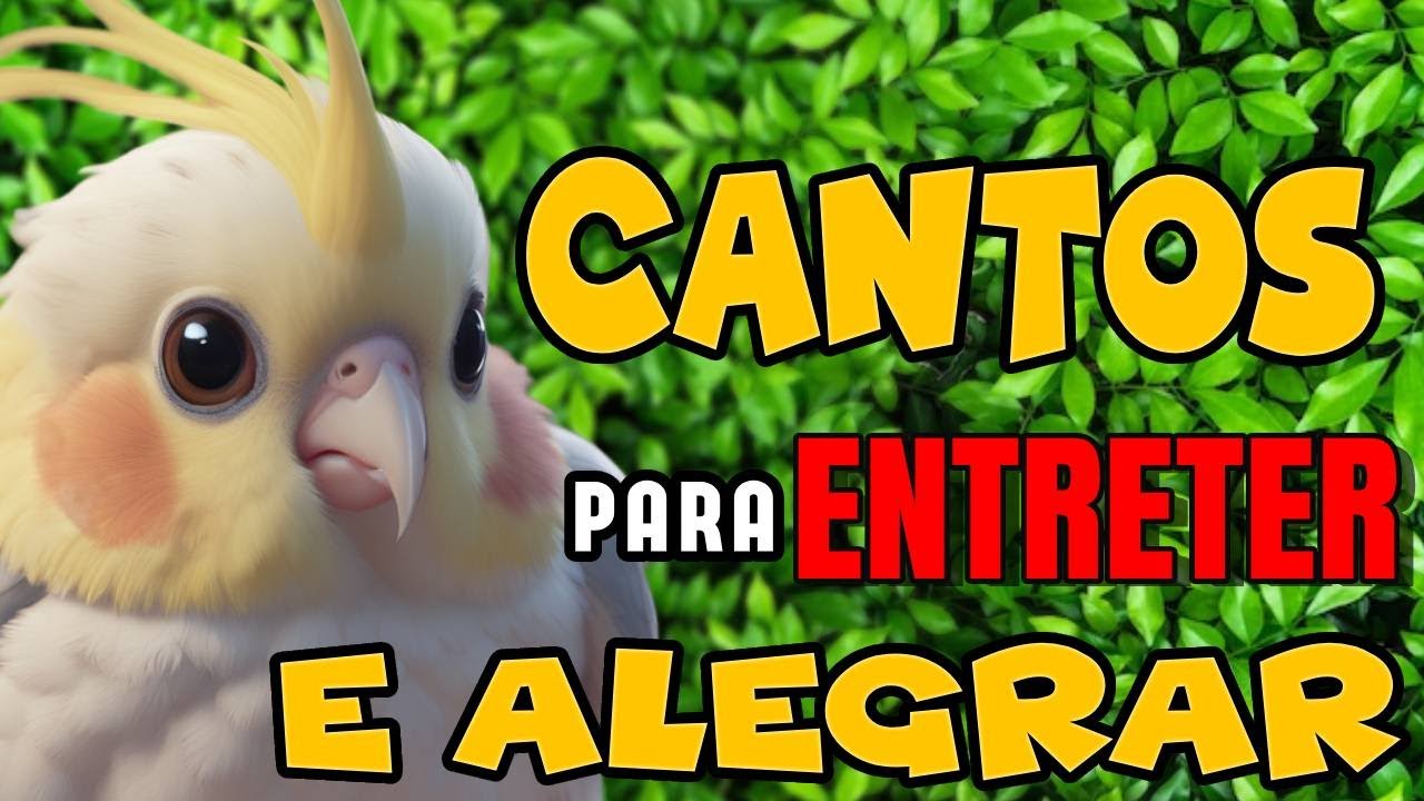 Cockatiel Singing Relaxing Sounds Youtube