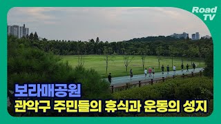 보라매공원, 가족 모두 안전하게 운동할 수 있는 서울에서 손꼽히는 곳 | Boramae Park I 4K