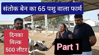 #indiankisan #HFCOW  संतोकबेन dairy farm। 30 साल पुराना।